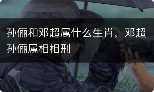 孙俪和邓超属什么生肖，邓超孙俪属相相刑