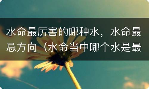 水命最厉害的哪种水，水命最忌方向（水命当中哪个水是最凶的）