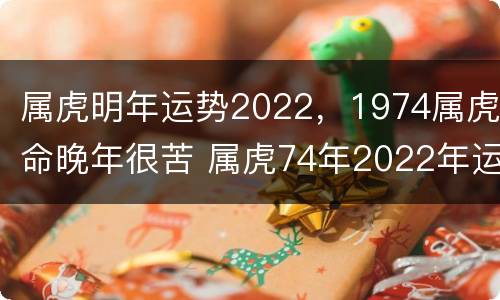 属虎明年运势2022，1974属虎命晚年很苦 属虎74年2022年运势及运程