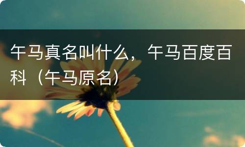 午马真名叫什么，午马百度百科（午马原名）