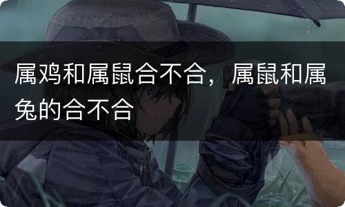 属鸡和属鼠合不合，属鼠和属兔的合不合