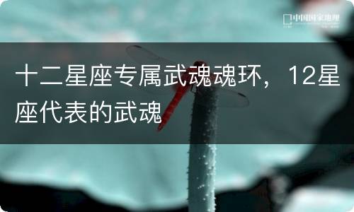 十二星座专属武魂魂环，12星座代表的武魂