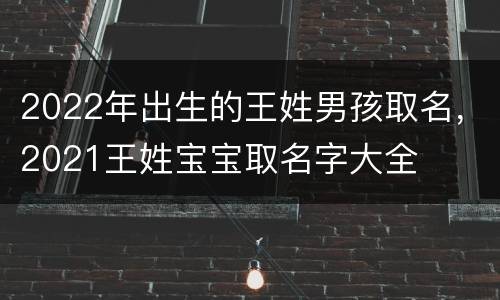 2022年出生的王姓男孩取名，2021王姓宝宝取名字大全