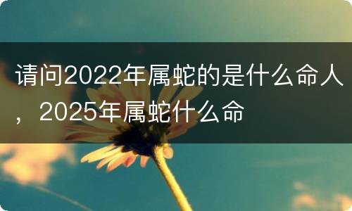 请问2022年属蛇的是什么命人，2025年属蛇什么命