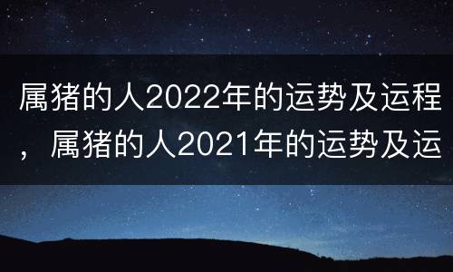 属猪的人2022年的运势及运程，属猪的人2021年的运势及运程
