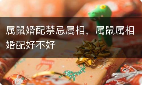 属鼠婚配禁忌属相，属鼠属相婚配好不好