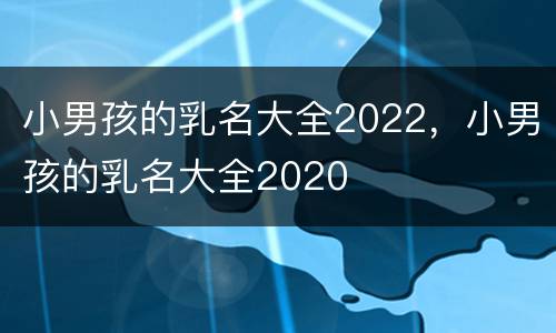 小男孩的乳名大全2022，小男孩的乳名大全2020