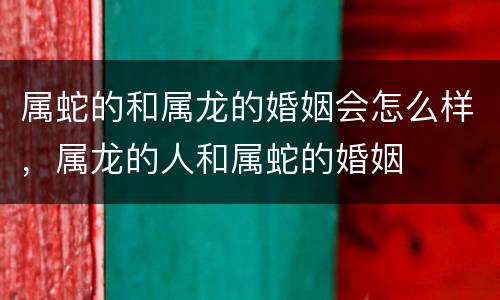 属蛇的和属龙的婚姻会怎么样，属龙的人和属蛇的婚姻