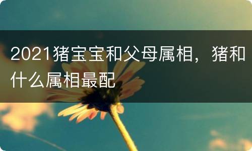 2021猪宝宝和父母属相，猪和什么属相最配