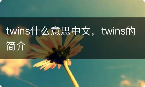 twins什么意思中文，twins的简介