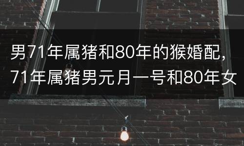 男71年属猪和80年的猴婚配，71年属猪男元月一号和80年女属猴11月