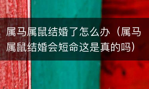 属马属鼠结婚了怎么办（属马属鼠结婚会短命这是真的吗）