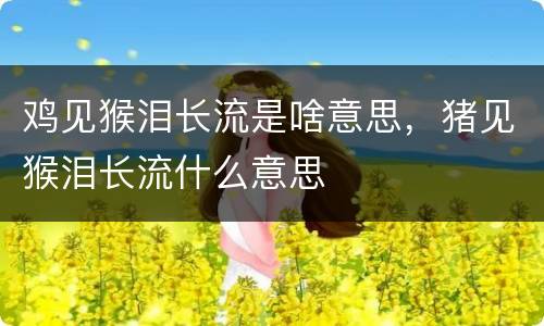 鸡见猴泪长流是啥意思，猪见猴泪长流什么意思