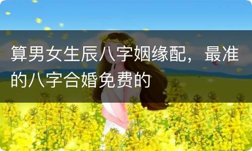 算男女生辰八字姻缘配，最准的八字合婚免费的