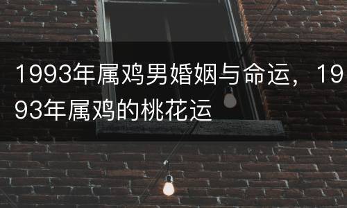 1993年属鸡男婚姻与命运，1993年属鸡的桃花运