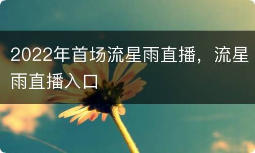 2022年首场流星雨直播，流星雨直播入口