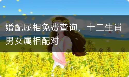 婚配属相免费查询，十二生肖男女属相配对