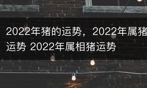 2022年猪的运势，2022年属猪运势 2022年属相猪运势