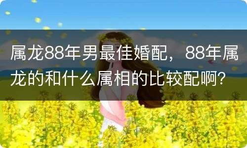 属龙88年男最佳婚配，88年属龙的和什么属相的比较配啊？