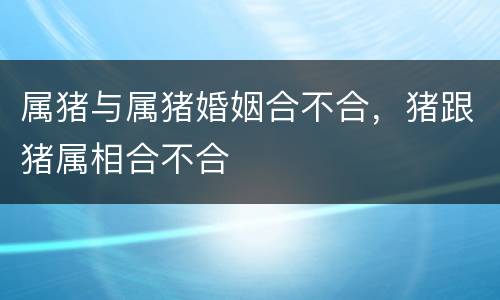 属猪与属猪婚姻合不合，猪跟猪属相合不合