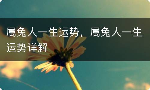 属兔人一生运势，属兔人一生运势详解