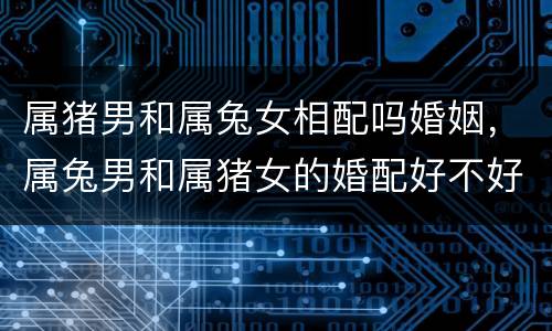属猪男和属兔女相配吗婚姻，属兔男和属猪女的婚配好不好