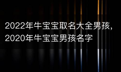 2022年牛宝宝取名大全男孩，2020年牛宝宝男孩名字