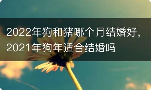 2022年狗和猪哪个月结婚好，2021年狗年适合结婚吗