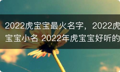 2022虎宝宝最火名字，2022虎宝宝小名 2022年虎宝宝好听的小名