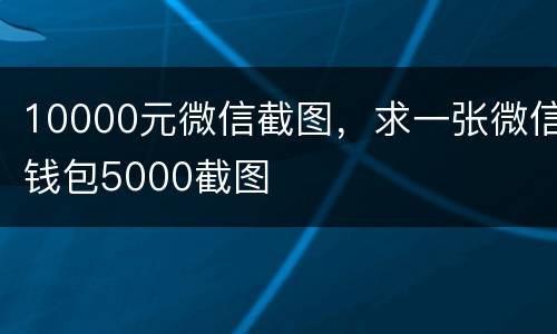 10000元微信截图，求一张微信钱包5000截图