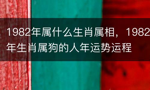 1982年属什么生肖属相，1982年生肖属狗的人年运势运程