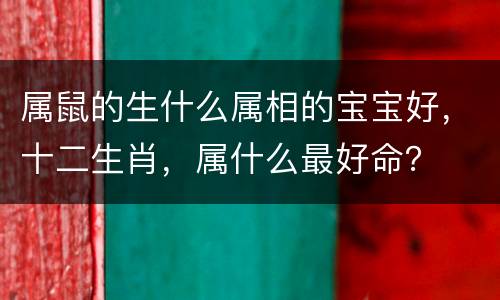 属鼠的生什么属相的宝宝好，十二生肖，属什么最好命？