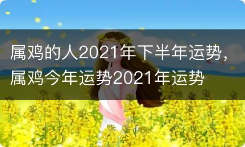 属鸡的人2021年下半年运势，属鸡今年运势2021年运势