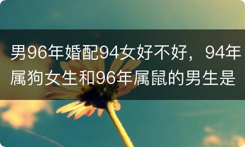 男96年婚配94女好不好，94年属狗女生和96年属鼠的男生是否般配?