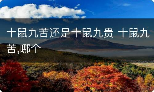 十鼠九苦还是十鼠九贵 十鼠九苦,哪个