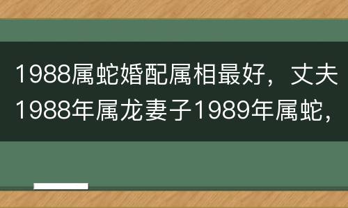 1988属蛇婚配属相最好，丈夫1988年属龙妻子1989年属蛇，要什么