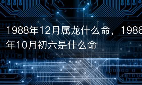1988年12月属龙什么命，1986年10月初六是什么命