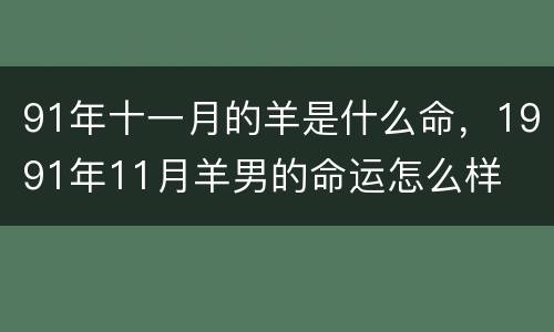 91年十一月的羊是什么命，1991年11月羊男的命运怎么样