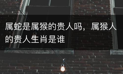 属蛇是属猴的贵人吗，属猴人的贵人生肖是谁