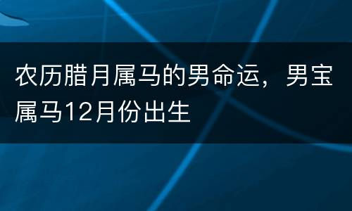 农历腊月属马的男命运，男宝属马12月份出生