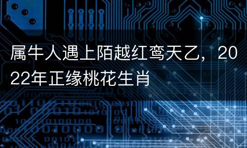 属牛人遇上陌越红鸾天乙，2022年正缘桃花生肖