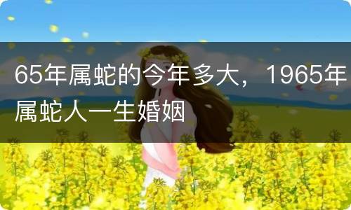 65年属蛇的今年多大，1965年属蛇人一生婚姻