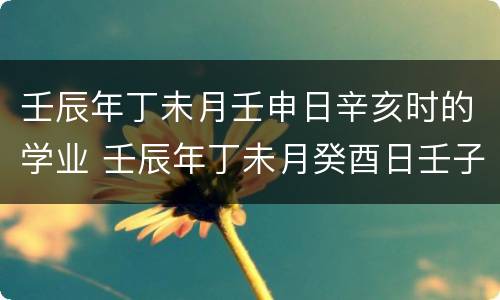 壬辰年丁未月壬申日辛亥时的学业 壬辰年丁未月癸酉日壬子时
