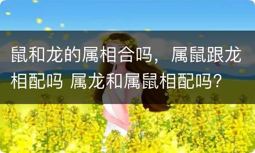 鼠和龙的属相合吗，属鼠跟龙相配吗 属龙和属鼠相配吗?