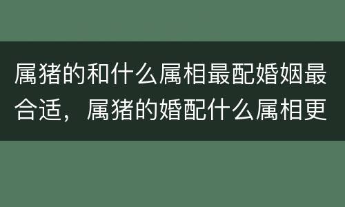 属猪的和什么属相最配婚姻最合适，属猪的婚配什么属相更好