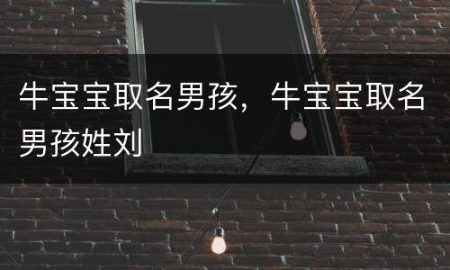 牛宝宝取名男孩，牛宝宝取名男孩姓刘
