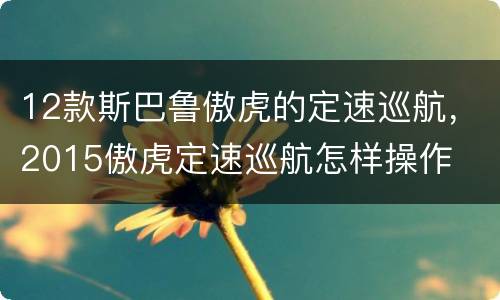 12款斯巴鲁傲虎的定速巡航，2015傲虎定速巡航怎样操作