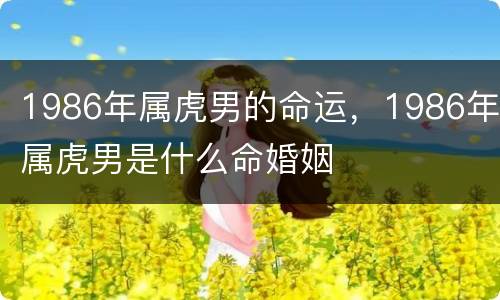 1986年属虎男的命运，1986年属虎男是什么命婚姻