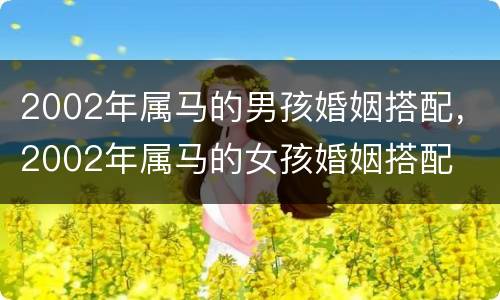 2002年属马的男孩婚姻搭配，2002年属马的女孩婚姻搭配