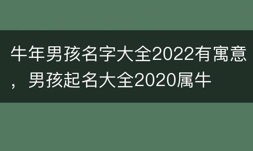 牛年男孩名字大全2022有寓意，男孩起名大全2020属牛